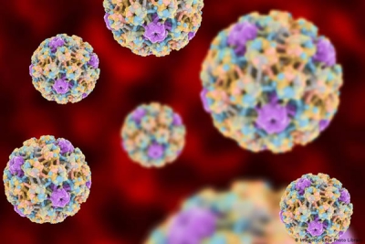 ویروس پاپیلومای انسانی  (hpv) درمان  قطعی ندارد؛ به فکر پیشگیری باشیم.