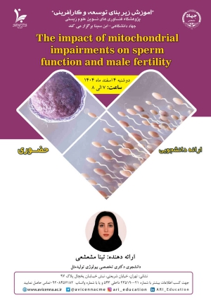 The impact of mitochondrial impairments on sperm function and male fertility