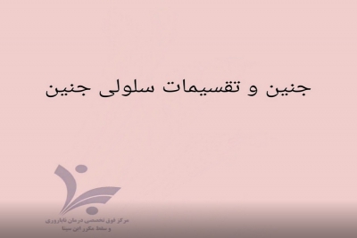 تکوین جنین ابتدایی و لانه گزینی در رحم مادر