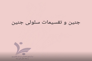 تکوین جنین ابتدایی و لانه گزینی در رحم مادر
