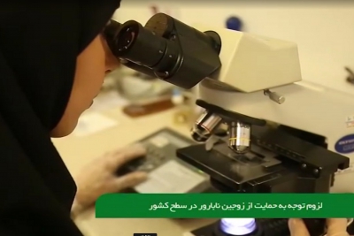 لزوم توجه به حمایت از زوجین نابارور در سطح کشور