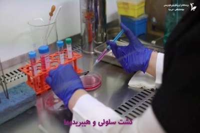 معرفی آزمایشگاه های مرکزی تحقیقات پژوهشگاه ابن سینا