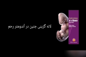 لانه گزینی جنین در اندومتر رحم