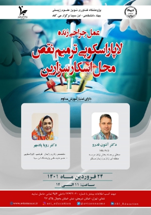 Live Surgery of Laparoscopic Treatment of niche