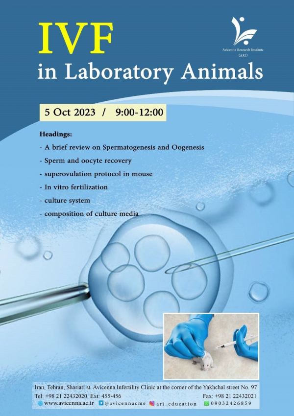 IVF in Laboratory Animals